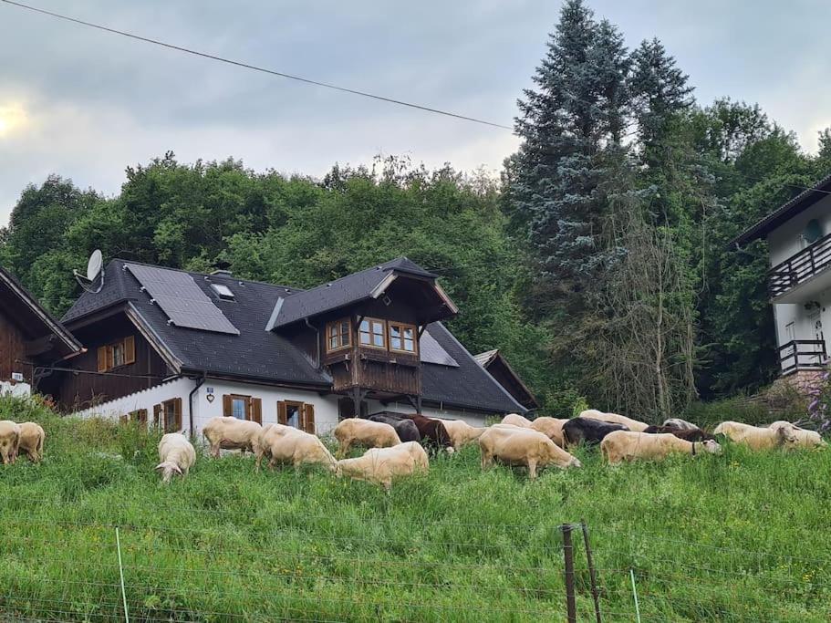 Ferienhaus Beringer Am Kallbach Traunkirchen Exterior foto